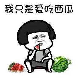 娱乐吃瓜老板是谁啊,他是谁？背后的故事与影响力